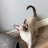 Blanche_0824